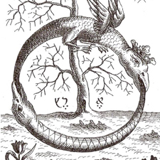 19772_Schlangenkreis Neujahr 225 225.jpg